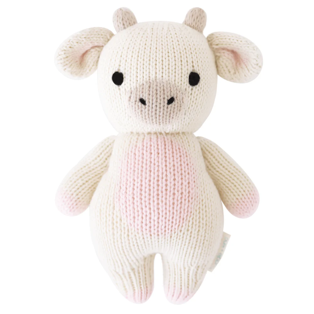 Newborn Baby Girl Gift Guide