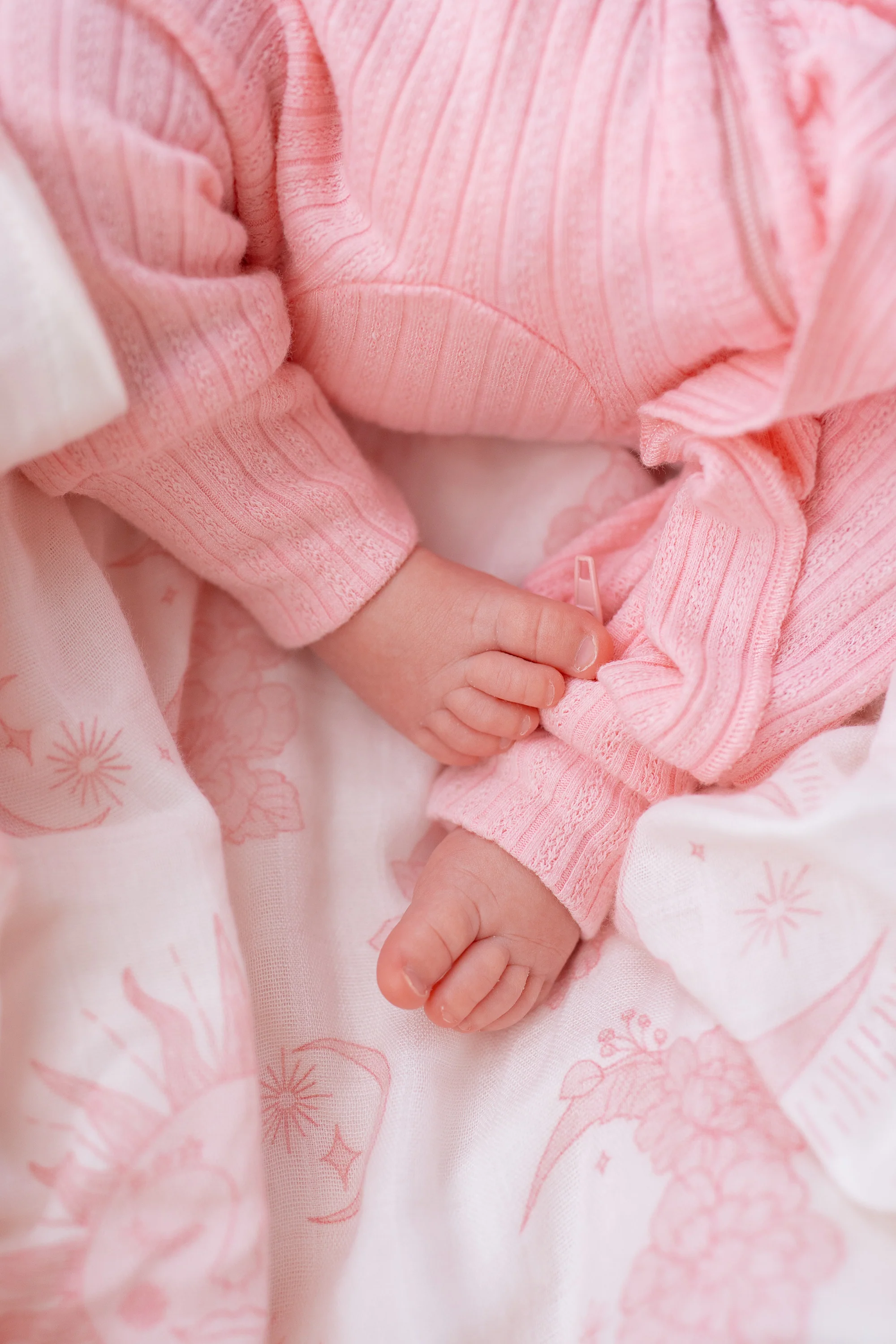 Frill Zip Romper | Peony Rib Pointelle - Image 5