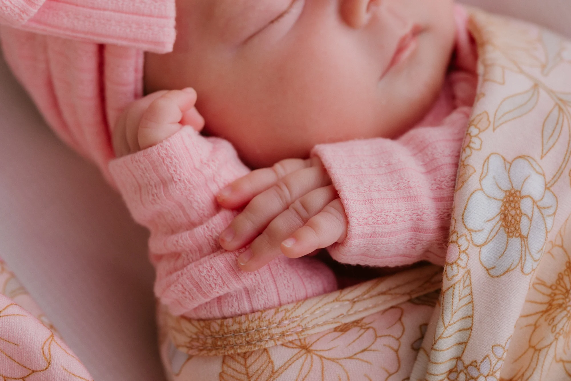 Frill Zip Romper | Peony Rib Pointelle - Image 8